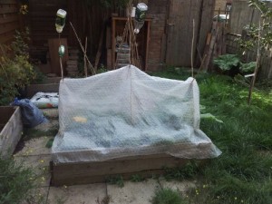 Raised bed covered with bubble wrap hung on bamboo pole frame